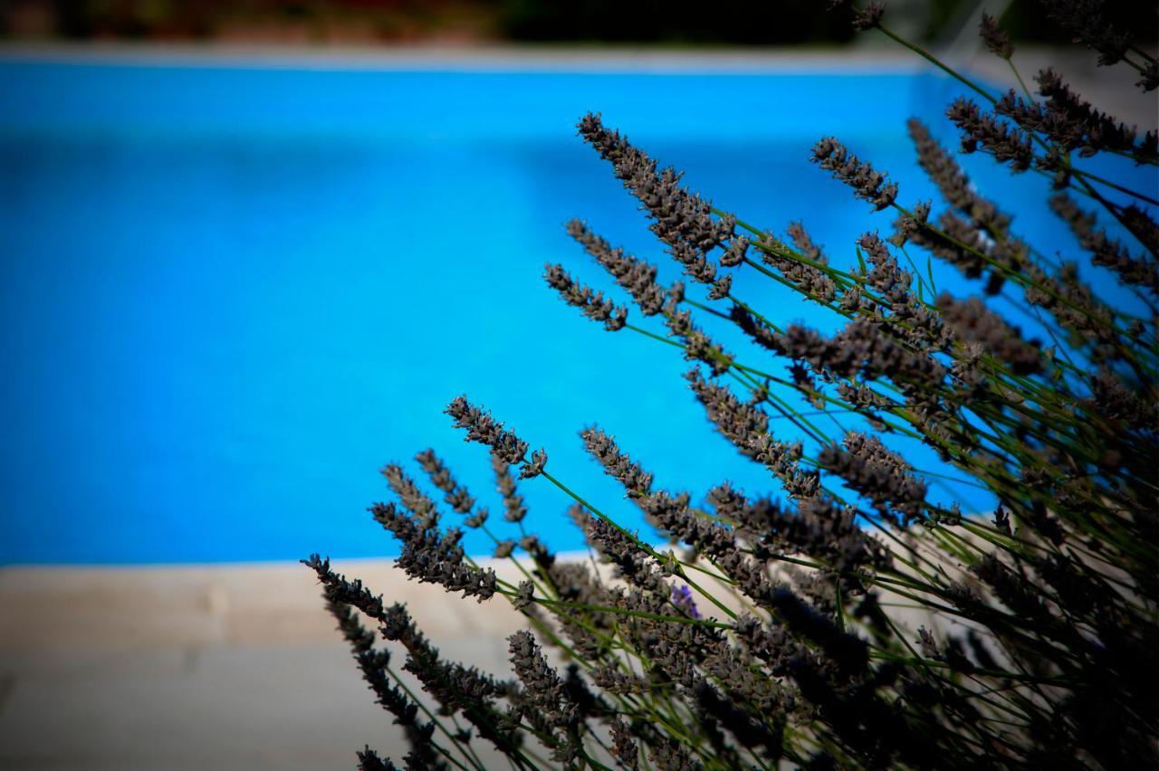 Agriturismo Girolomoni - Locanda Isola del Piano Ngoại thất bức ảnh